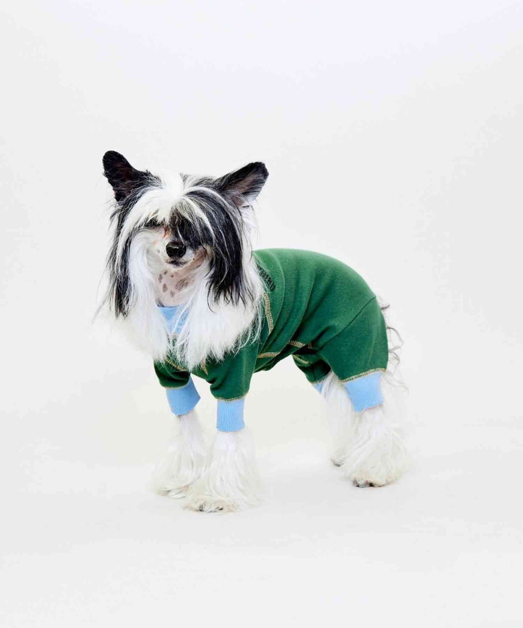 ACTIVE DOG ROMPERS - GREEN/SKYBLUE