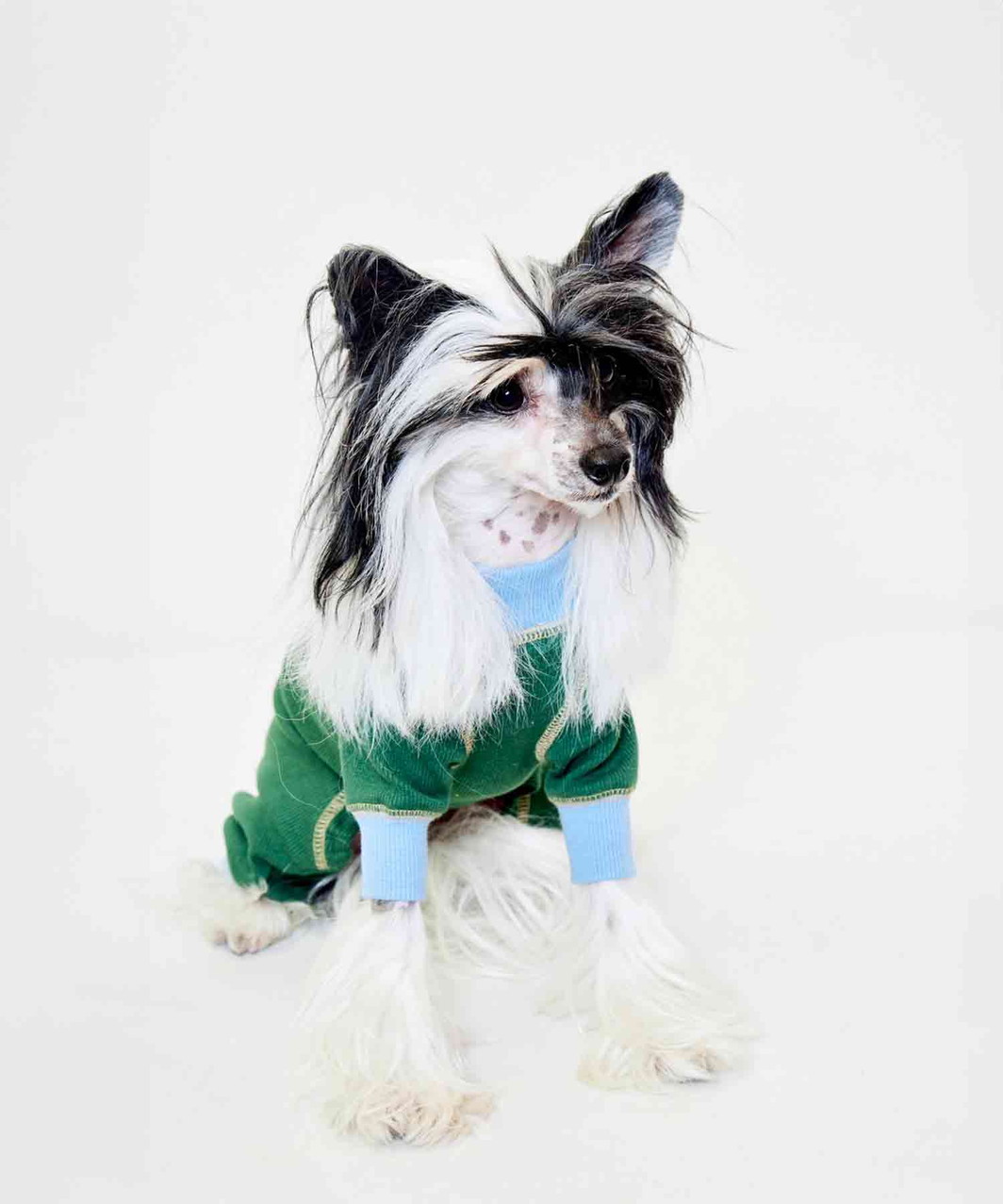 ACTIVE DOG ROMPERS - GREEN/SKYBLUE