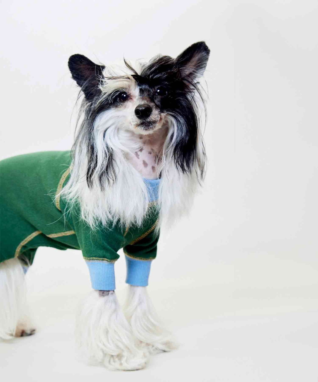 ACTIVE DOG ROMPERS - GREEN/SKYBLUE