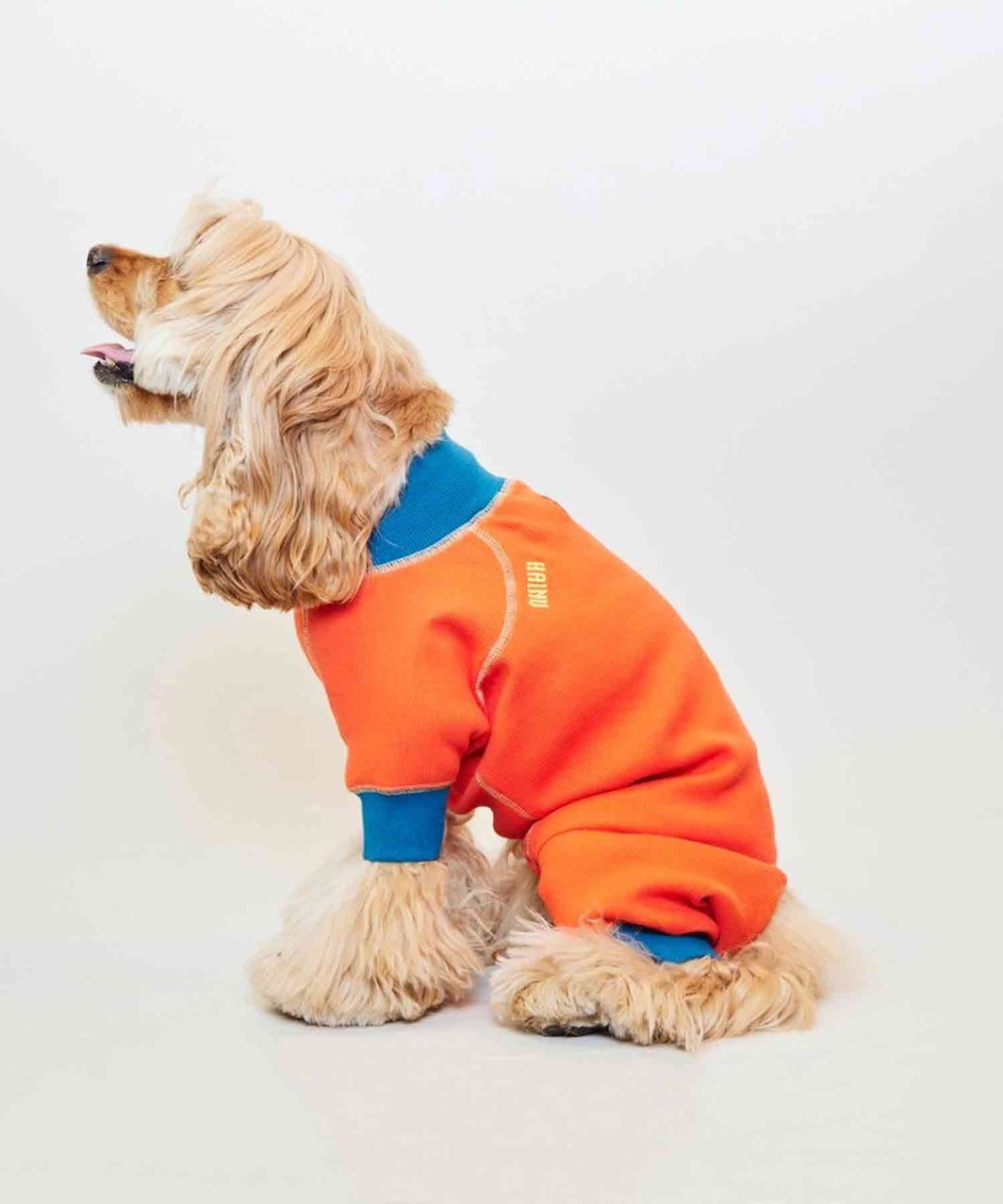 ACTIVE DOG ROMPERS - GREEN/SKYBLUE