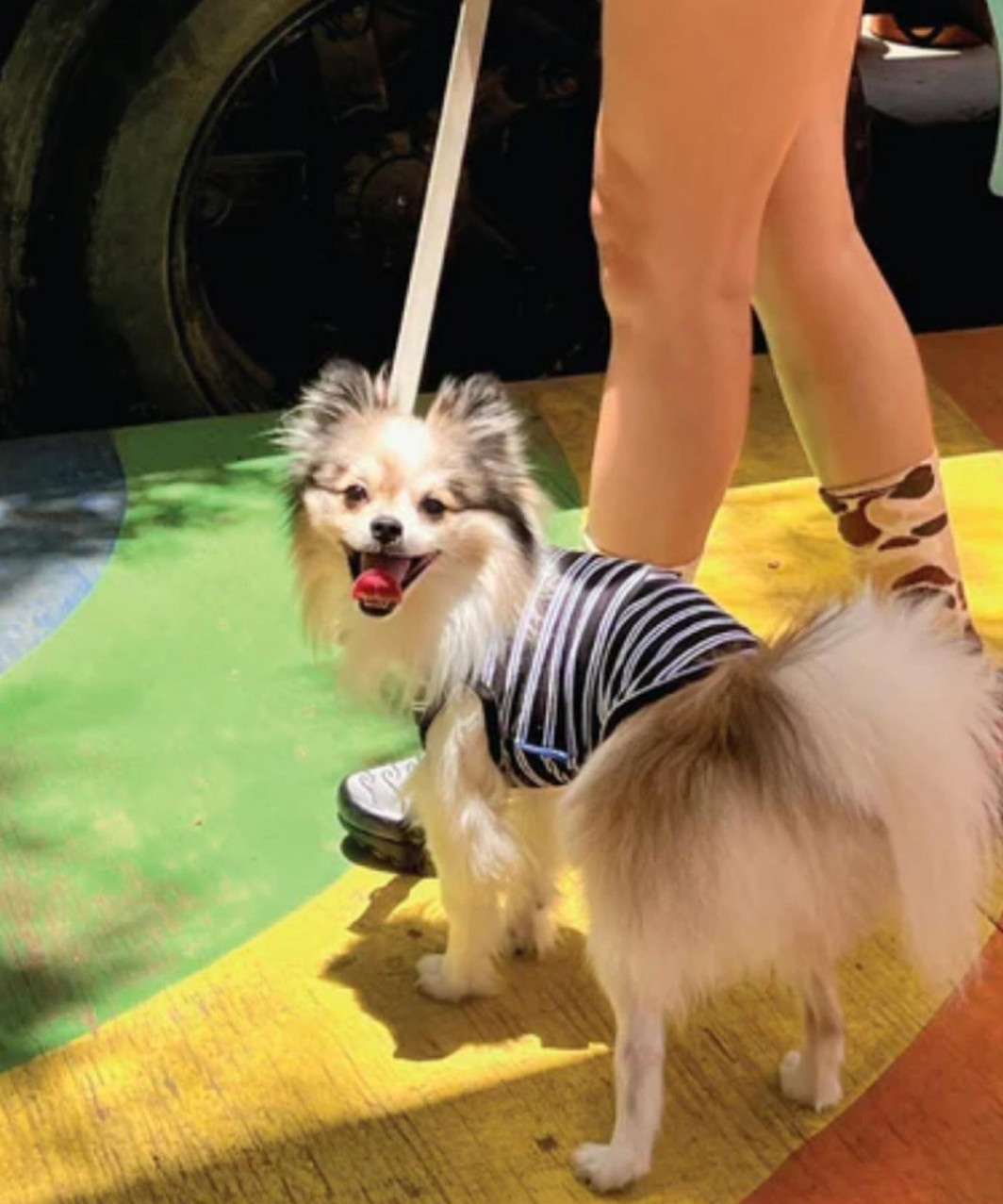 MAIN SQUEEZE SLEEVELESS SHIRT - BLACK/BLUE