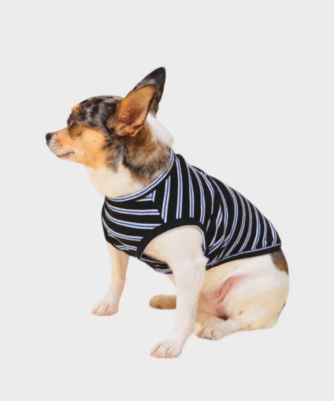 MAIN SQUEEZE SLEEVELESS SHIRT - BLACK/BLUE