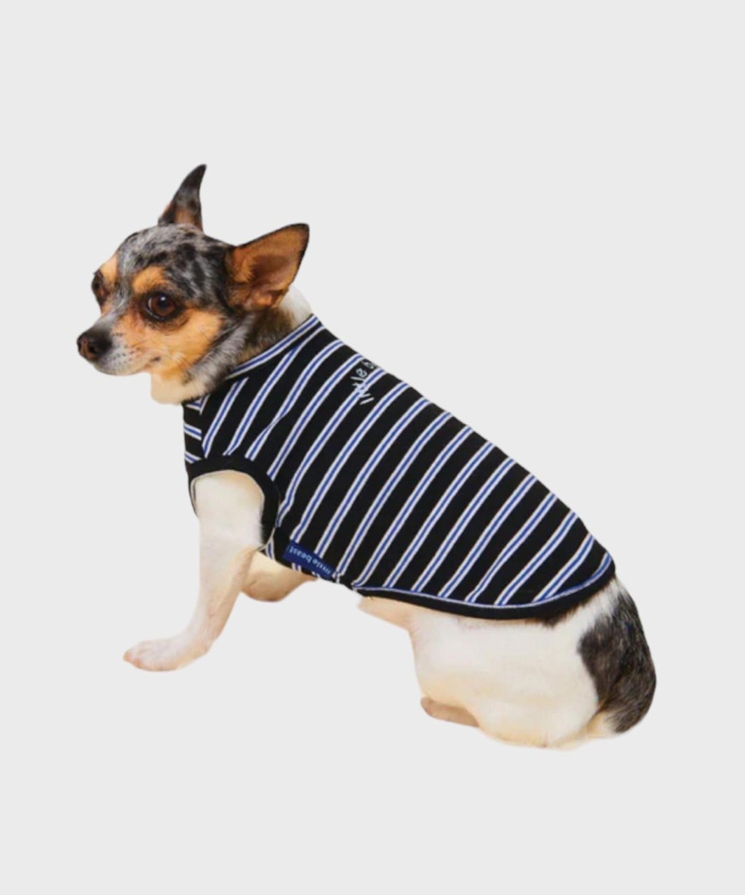 MAIN SQUEEZE SLEEVELESS SHIRT - BLACK/BLUE