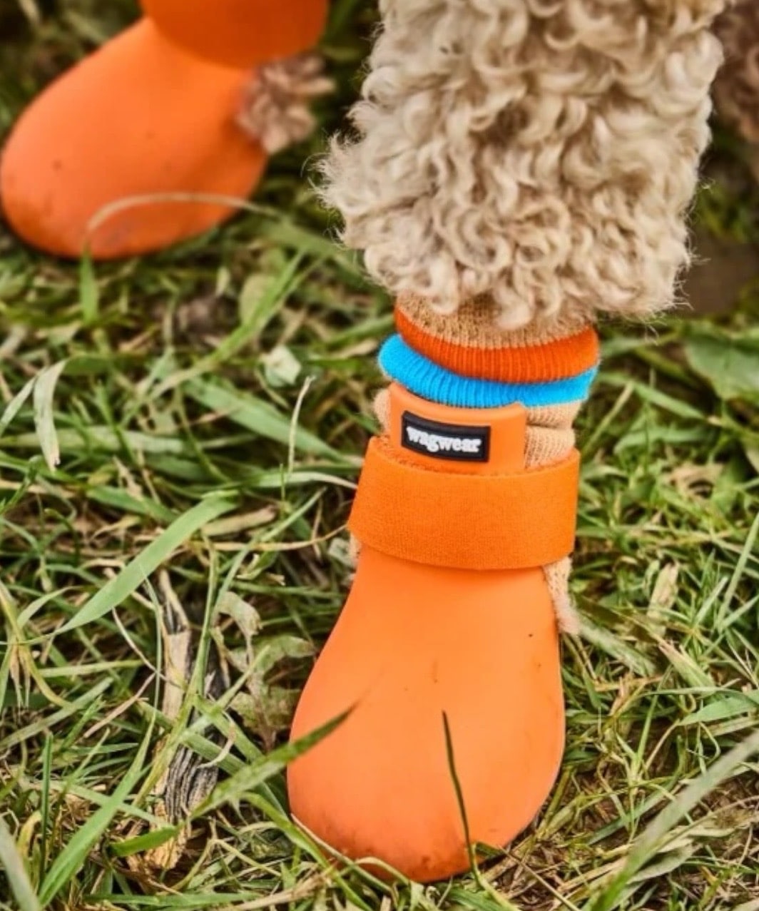 WAGWARMERS - BURGUNDY