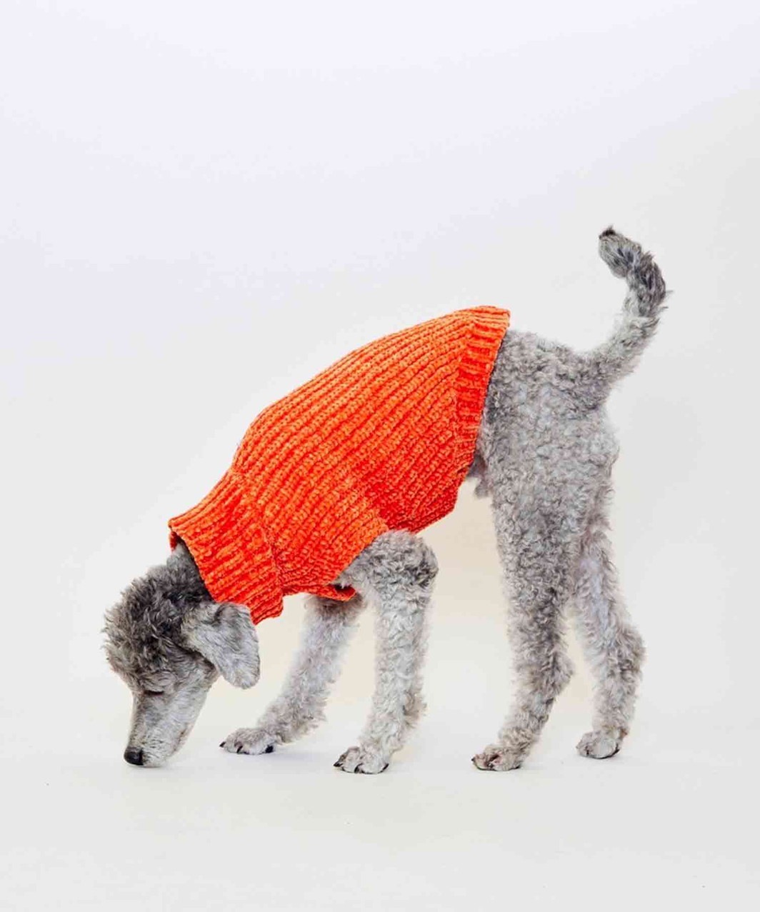 CHENILLE YARN SWEATER -ORANGE
