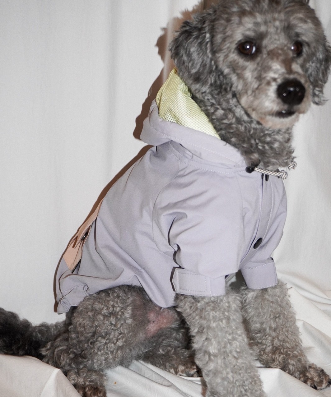 DRAWSTRING RAINCOAT - LIGHT GREY