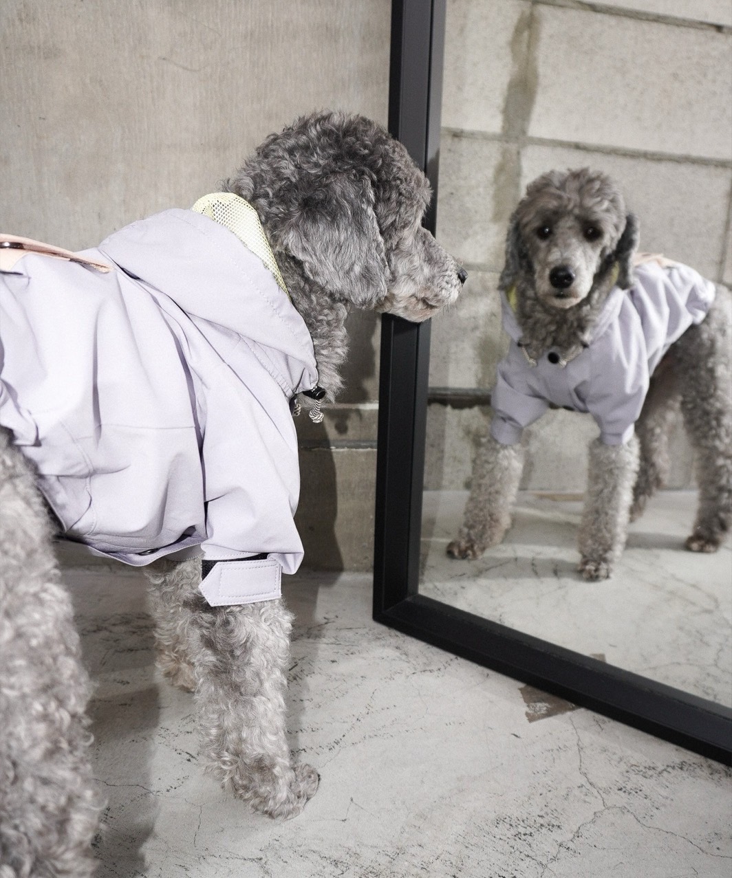 DRAWSTRING RAINCOAT - LIGHT GREY