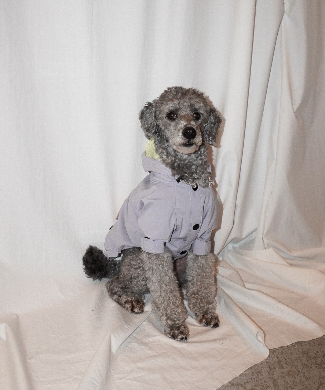 DRAWSTRING RAINCOAT - LIGHT GREY