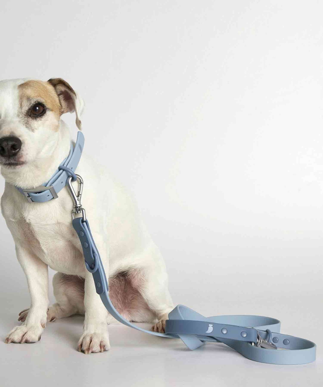 ROSE COLLAR - BLUE