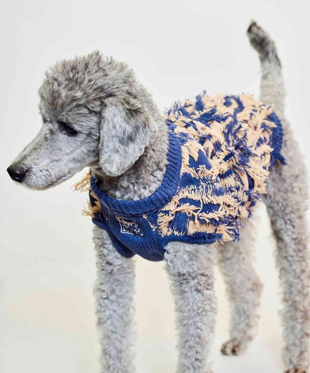 DAMAGED SWEATER - BLUE×PINK BEIGE