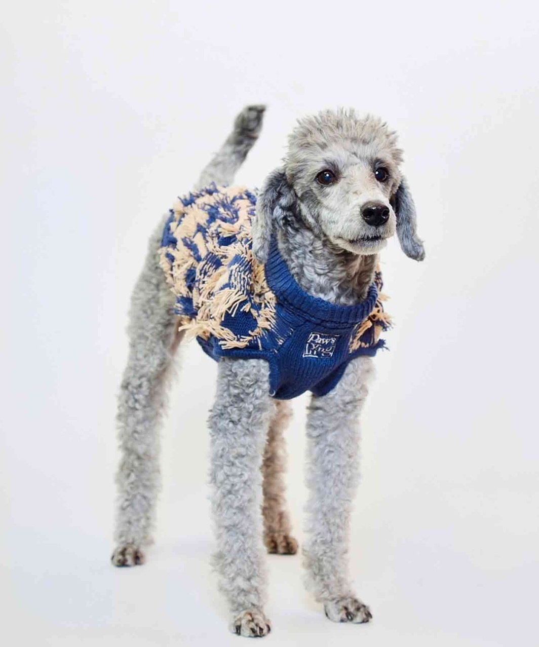 DAMAGED SWEATER - BLUE×PINK BEIGE