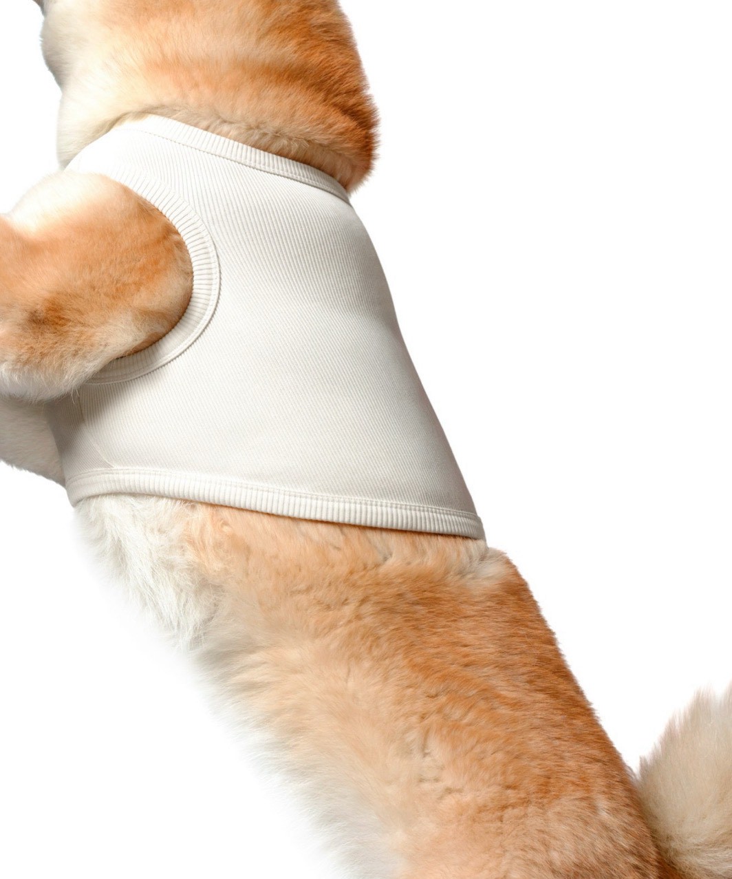 【PIMPAN】TANK TOP - WHITE