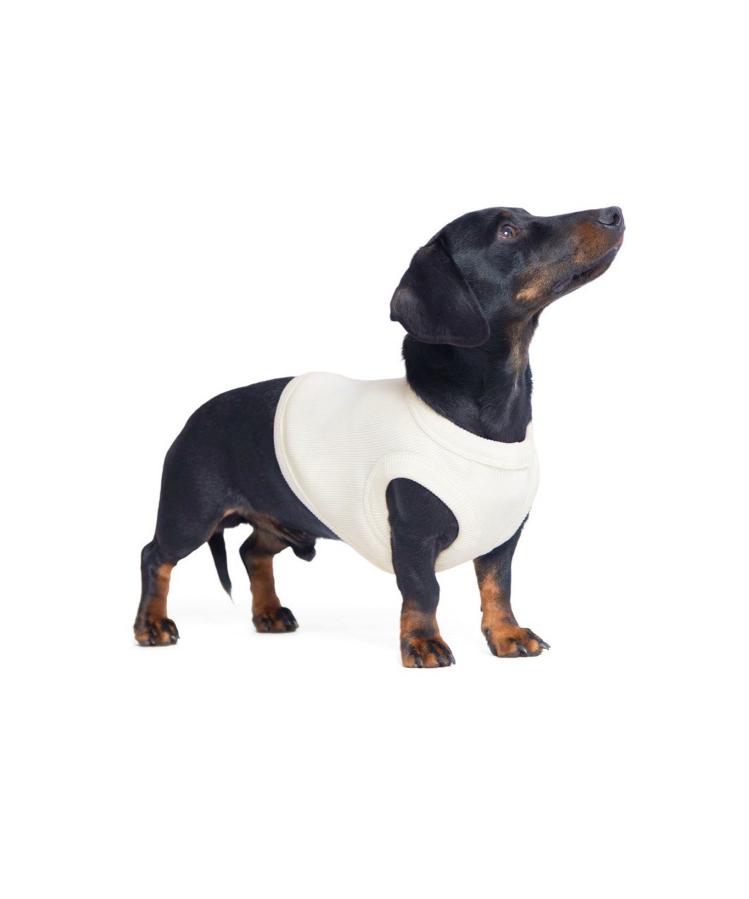 【PIMPAN】TANK TOP - WHITE