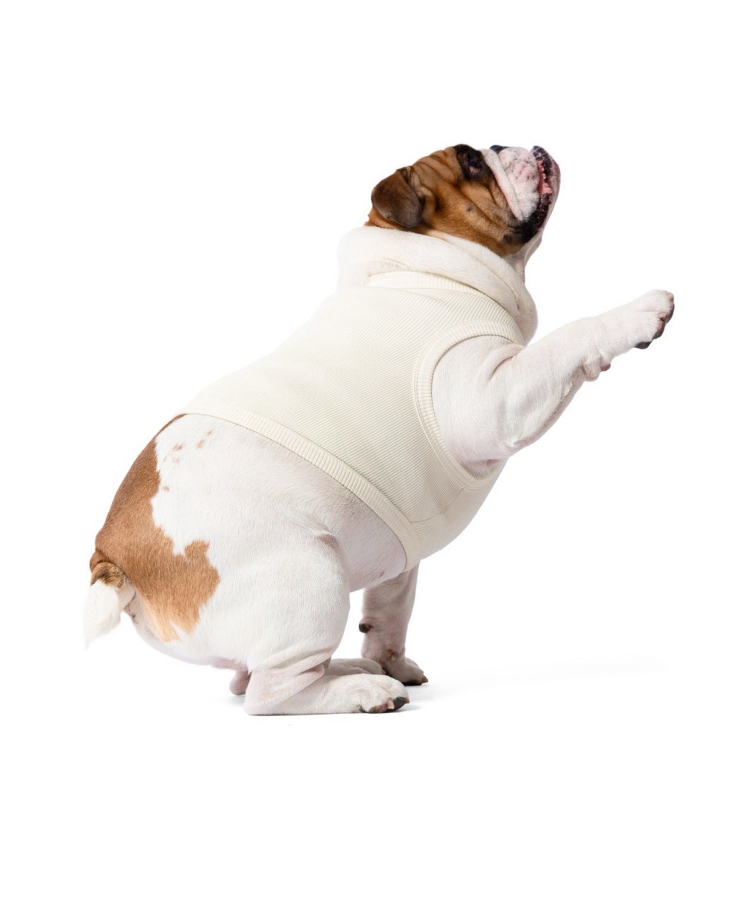 【PIMPAN】TANK TOP - WHITE