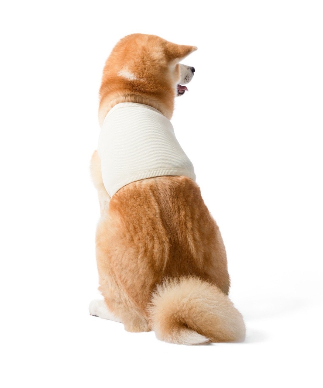 【PIMPAN】TANK TOP - WHITE