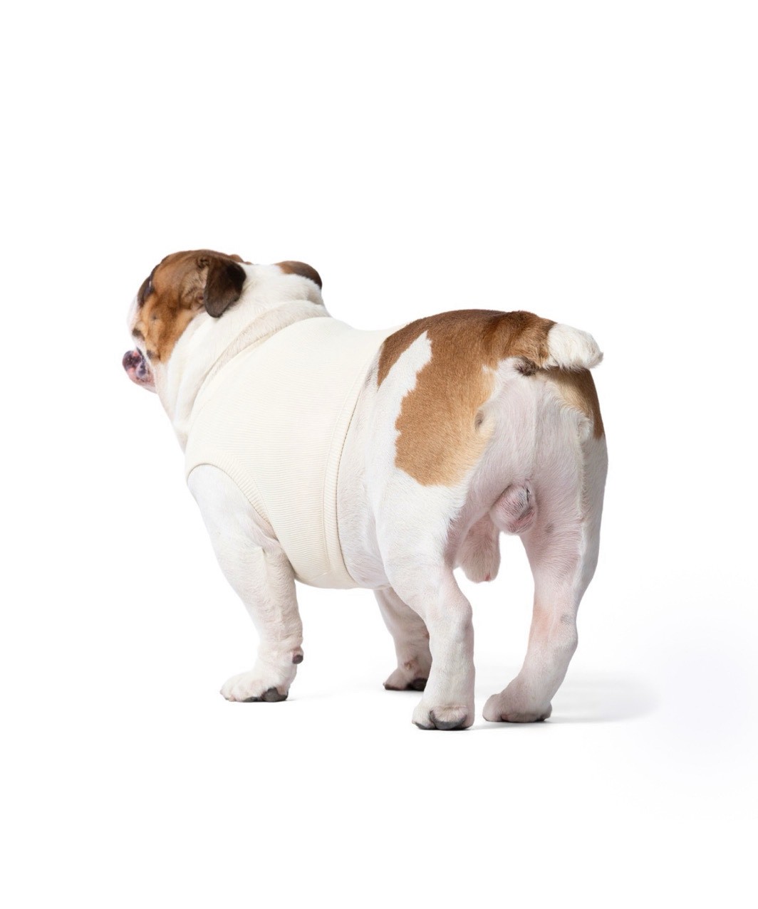 【PIMPAN】TANK TOP - WHITE