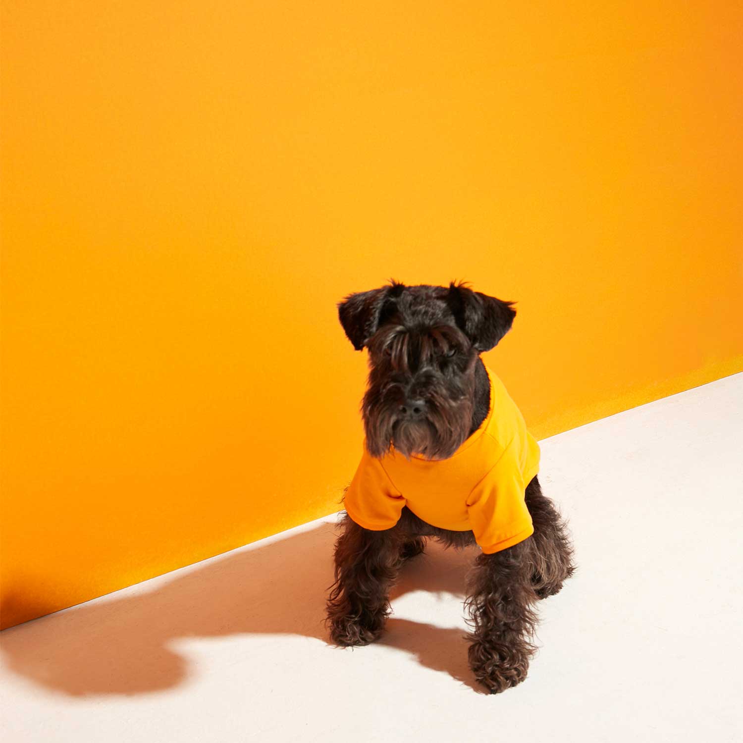 IMI T‐SHIRT - ORANGE