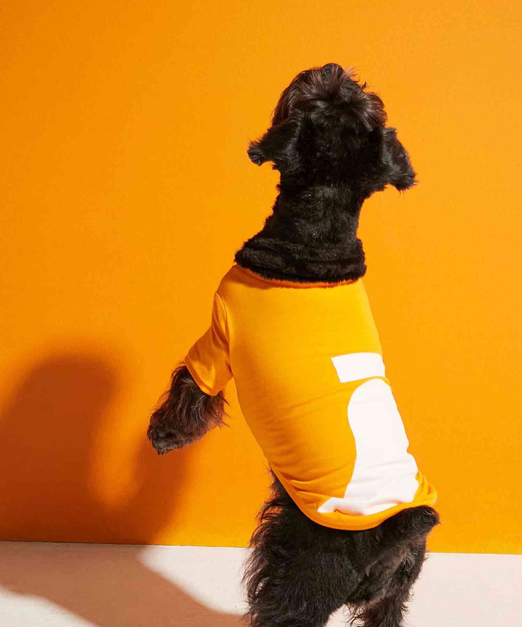 IMI T‐SHIRT - ORANGE