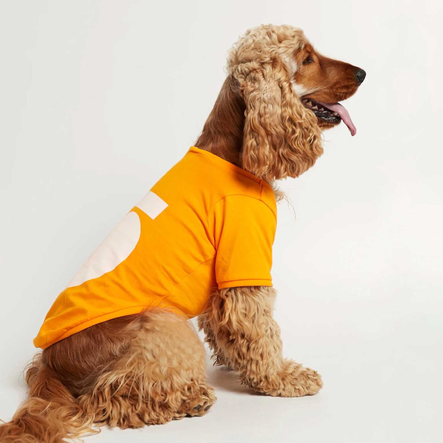 IMI T‐SHIRT - ORANGE