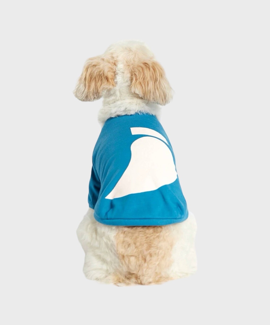 IMI T‐SHIRT - ORANGE