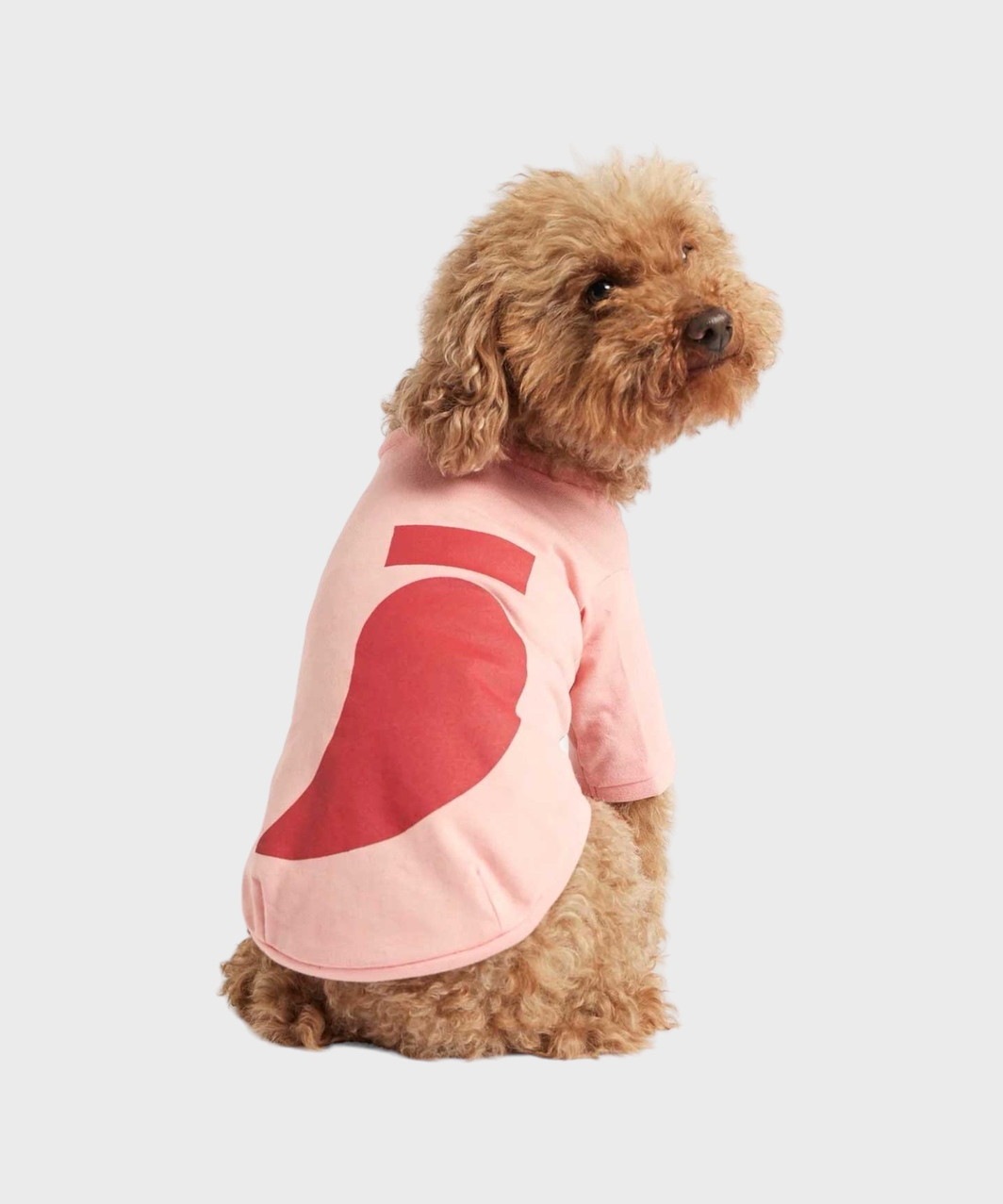 IMI T‐SHIRT - BLUE