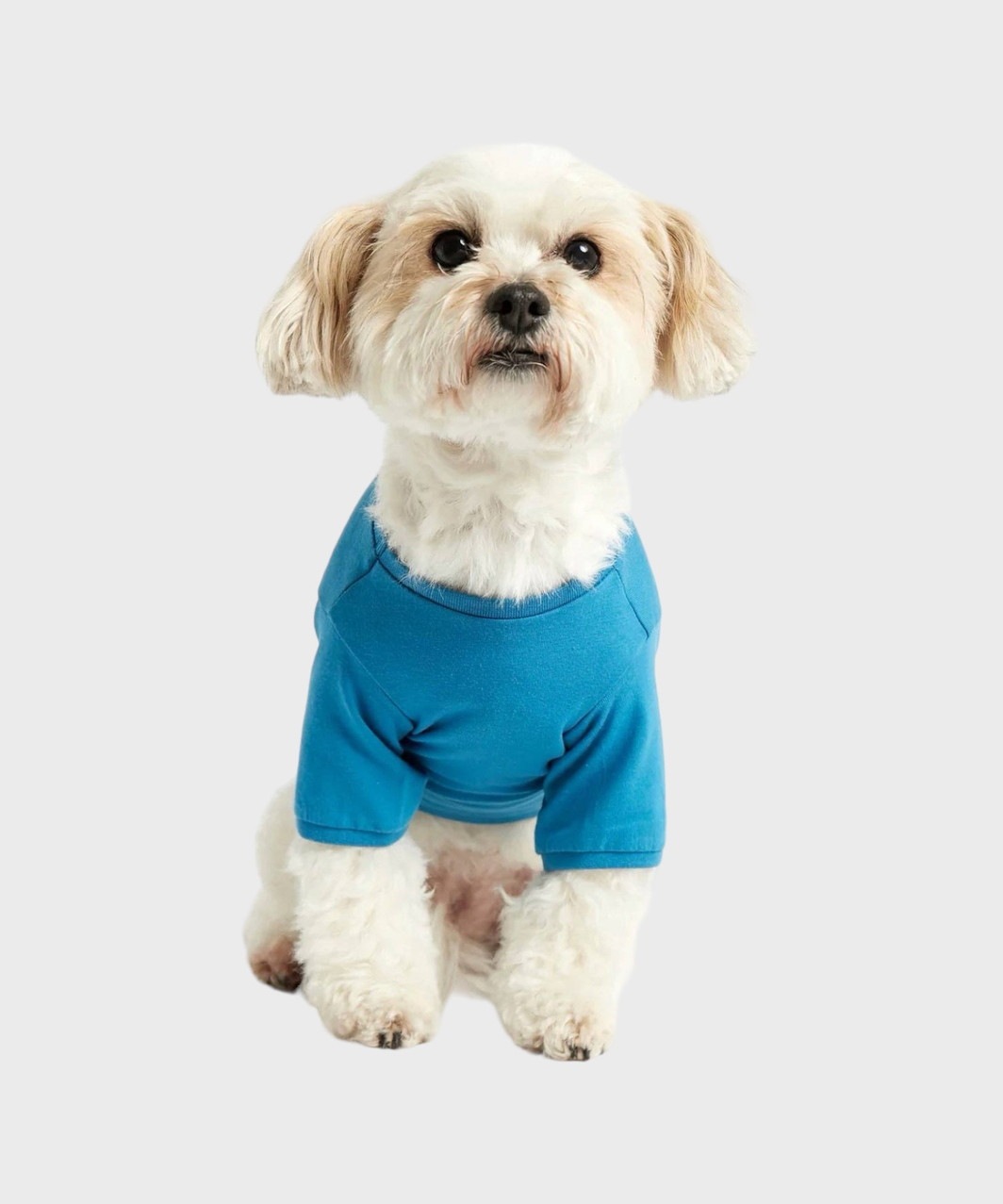 IMI T‐SHIRT - BLUE