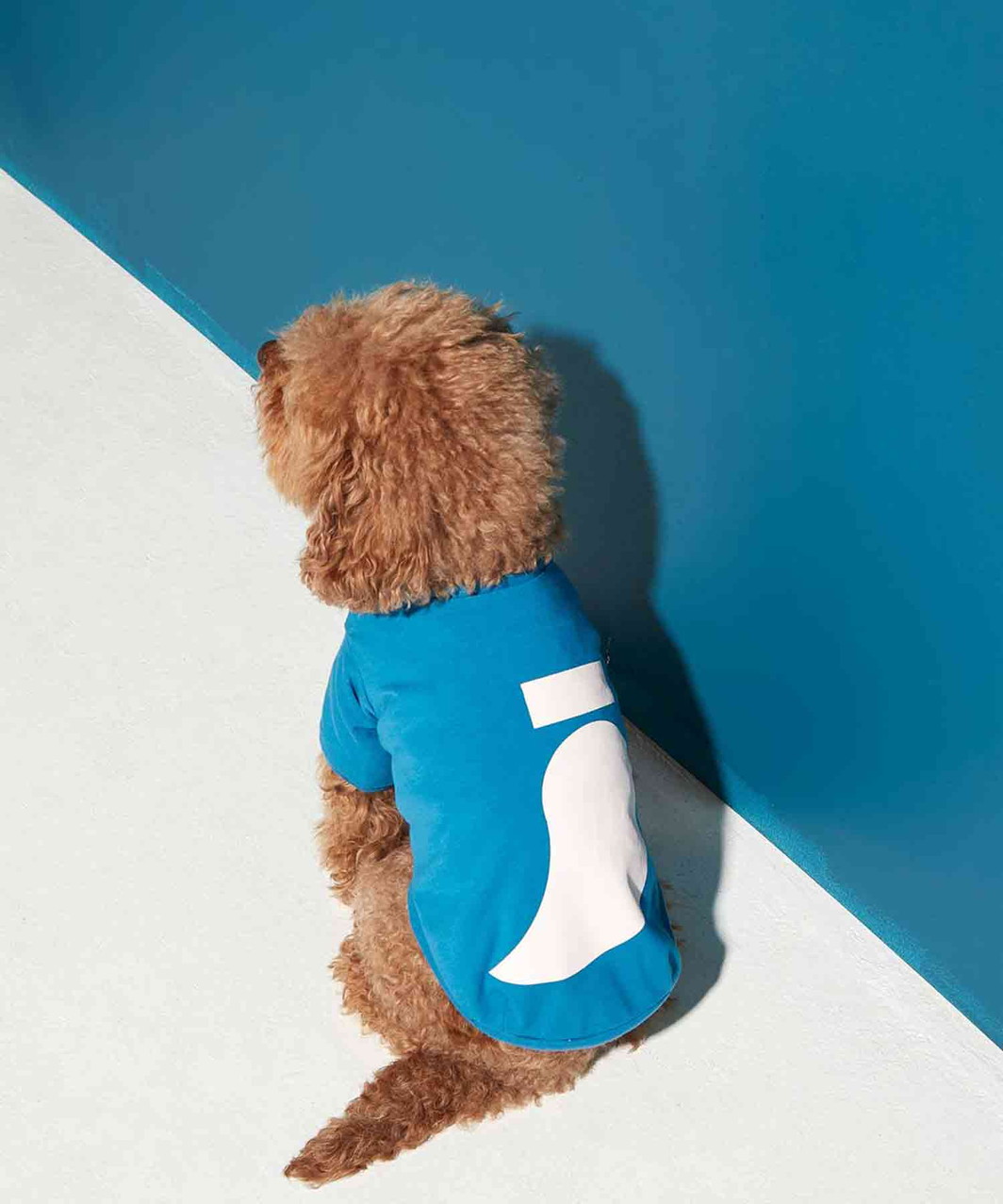 IMI T‐SHIRT - BLUE