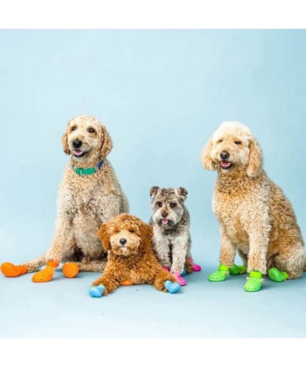 WAGWELLIES MOJAVE - NEON GREEN