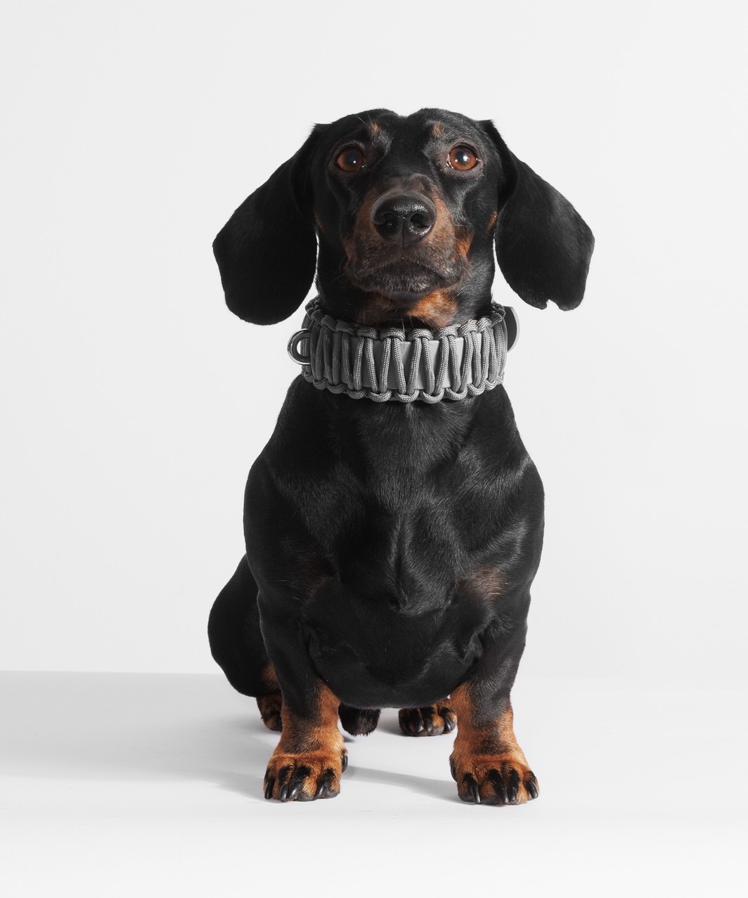 GALAN COLLAR in Werewolf gray - GREY