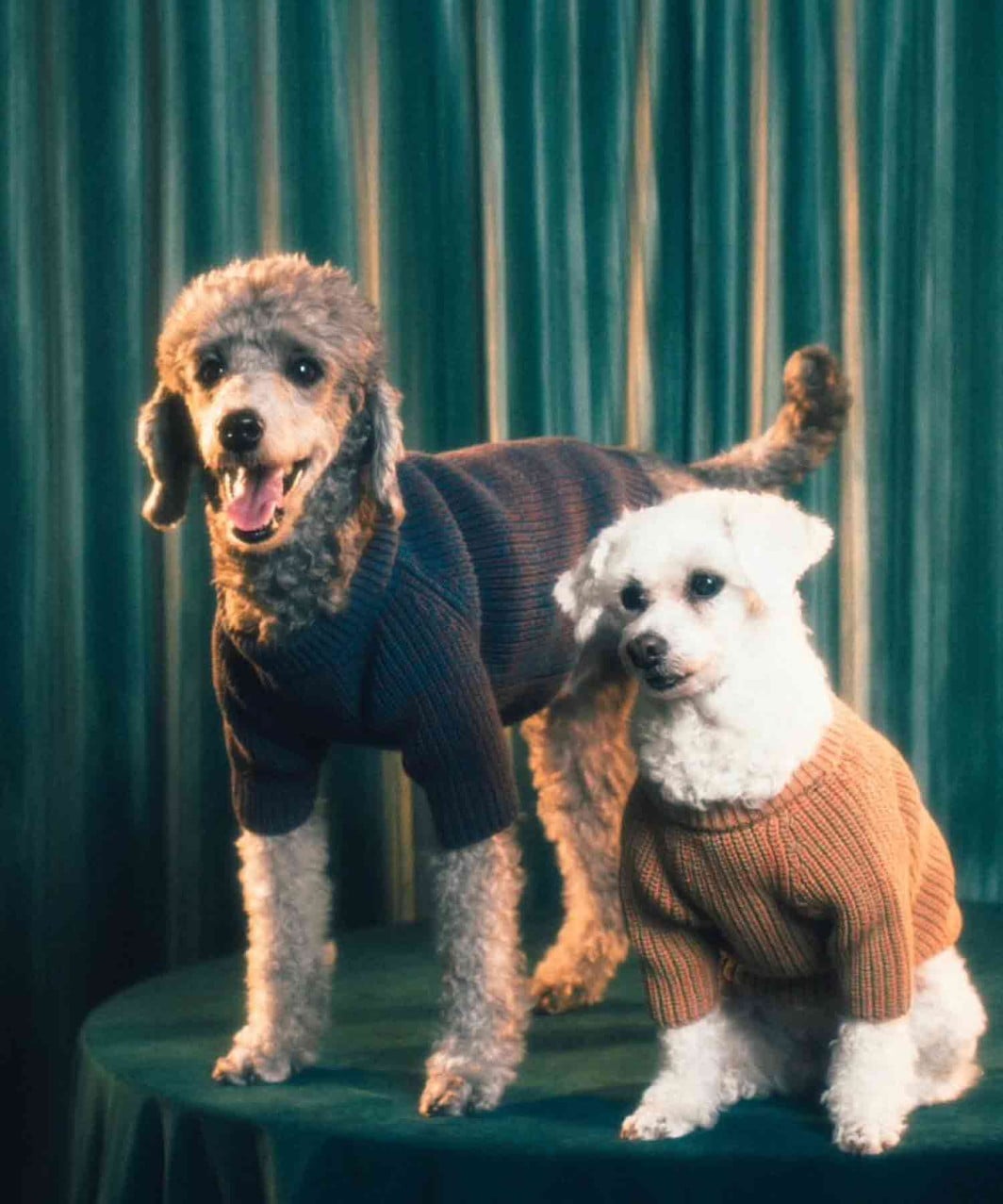 PEGION HAINU ニットウェア イエロー/グレー サイズＬ PEGION HAINU ニットウェア イエロー/グレー サイズL MIX COTTON