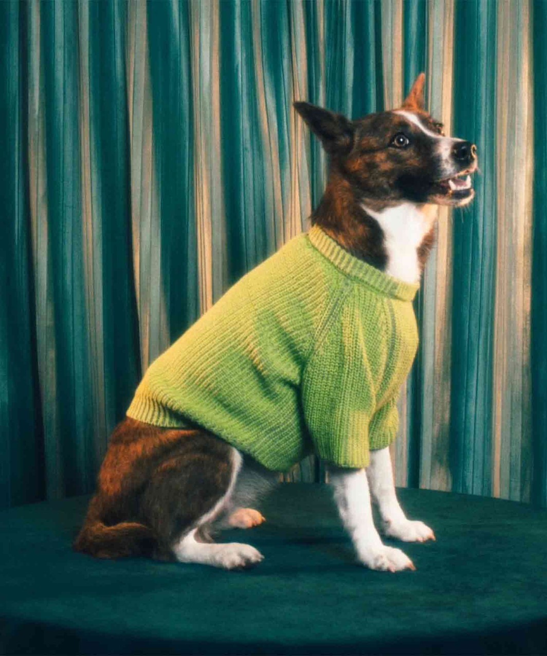 MIX COTTON SWEATER - ORANGE/GREEN