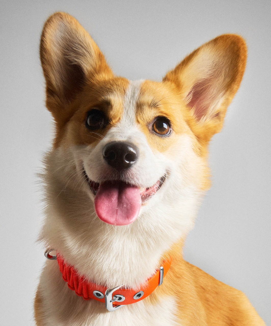 GALAN COLLAR in Aperol - ORANGE