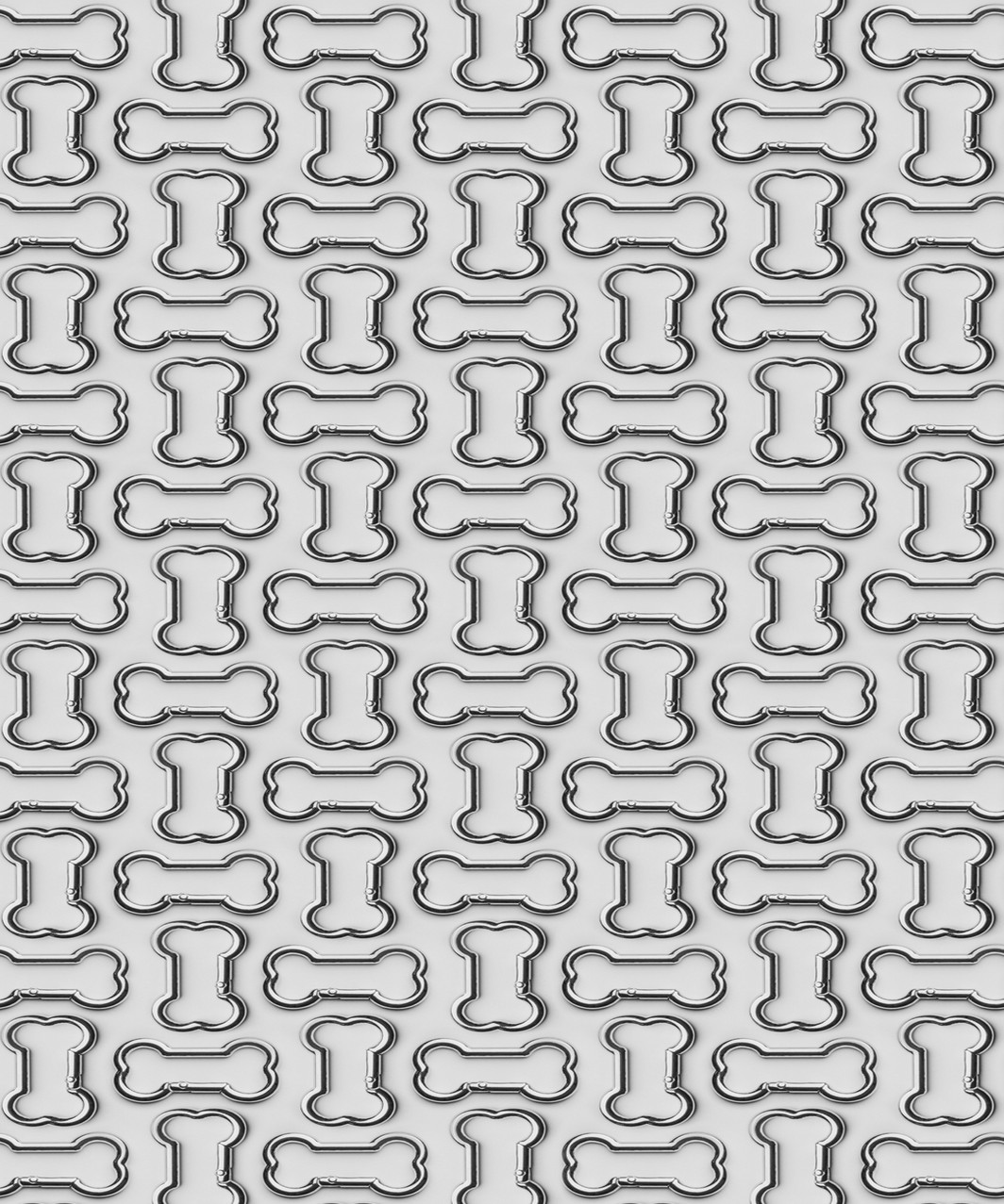 STELLAR BONE carabiner - SILVER