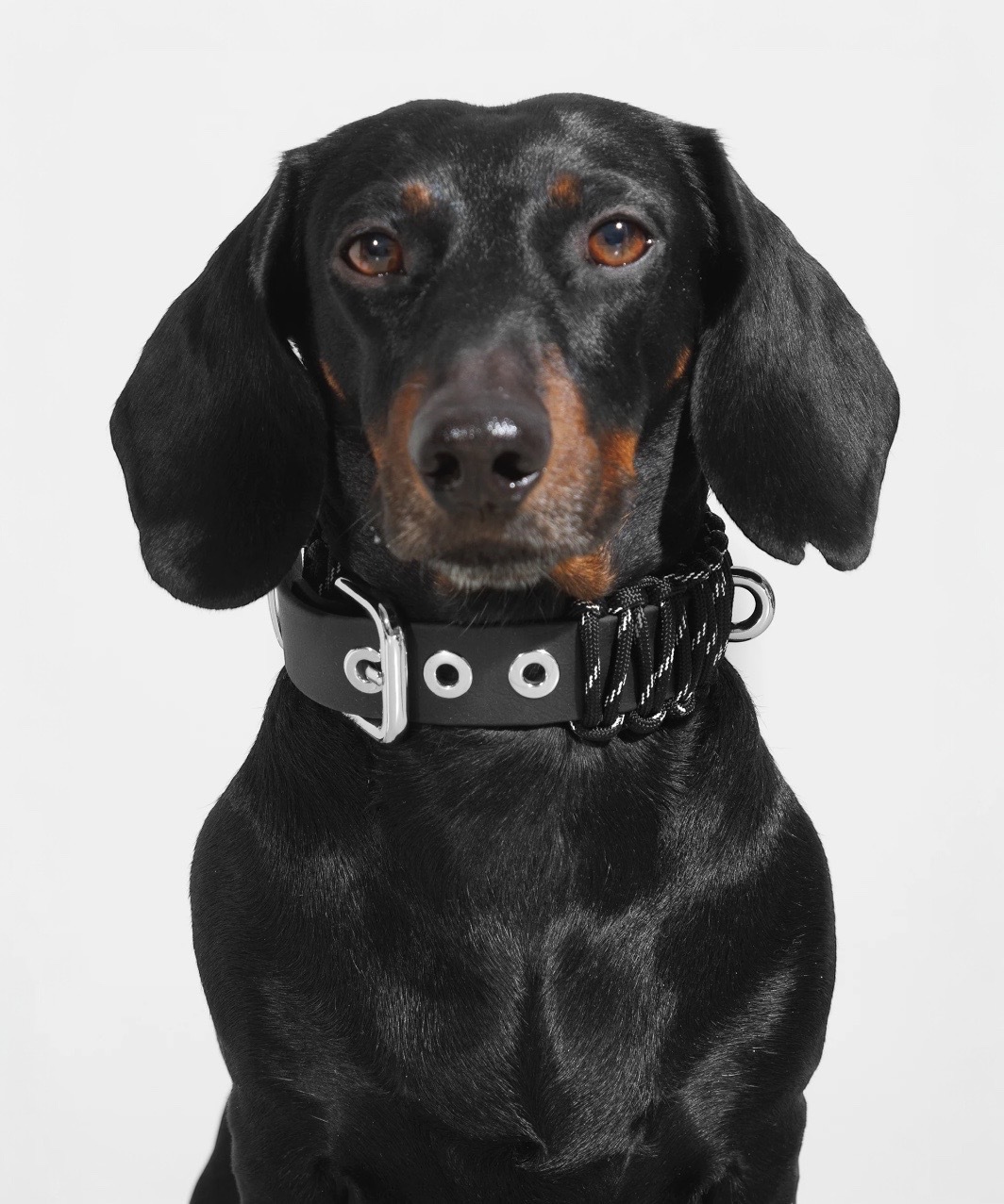 GALAN COLLAR in Garou (reflector) - BLACK