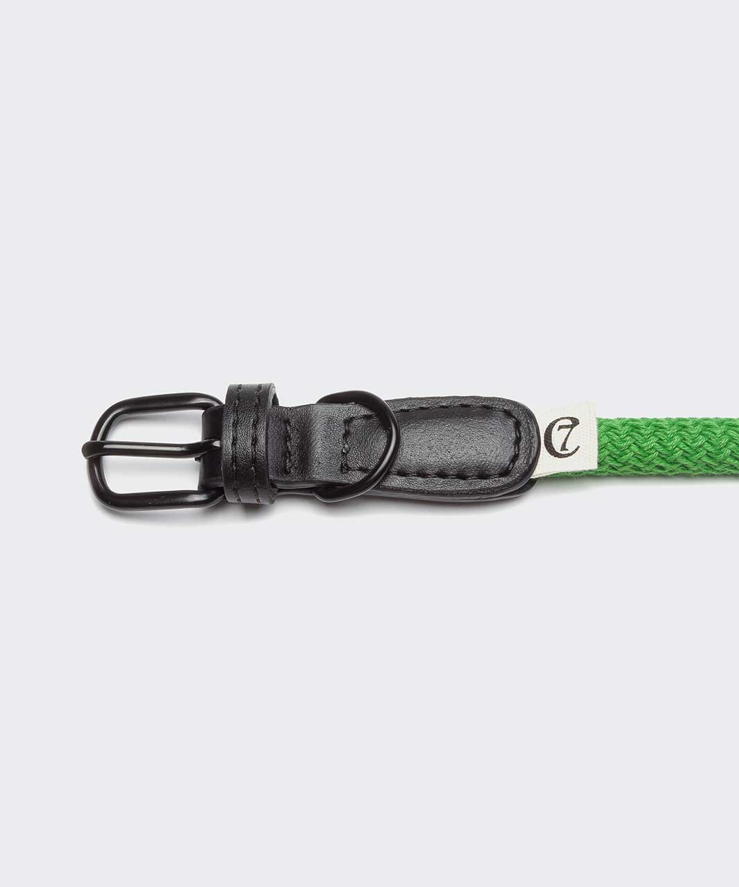 DOG COLLAR MAUERPARK - GRREN