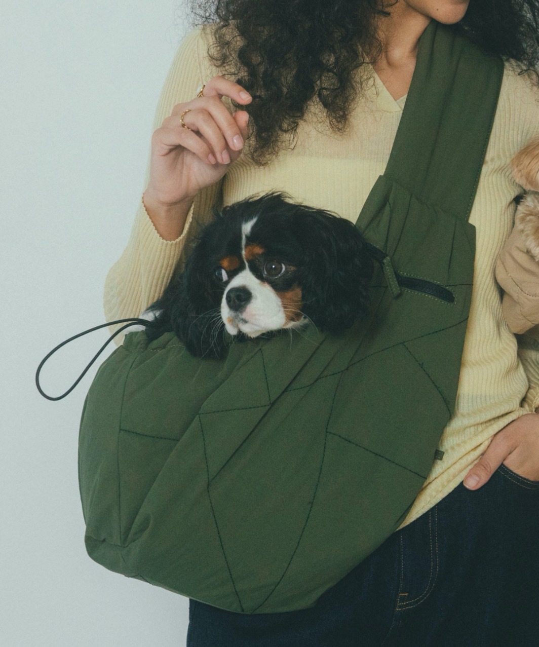 PET CARRY SHOULDER - GREY