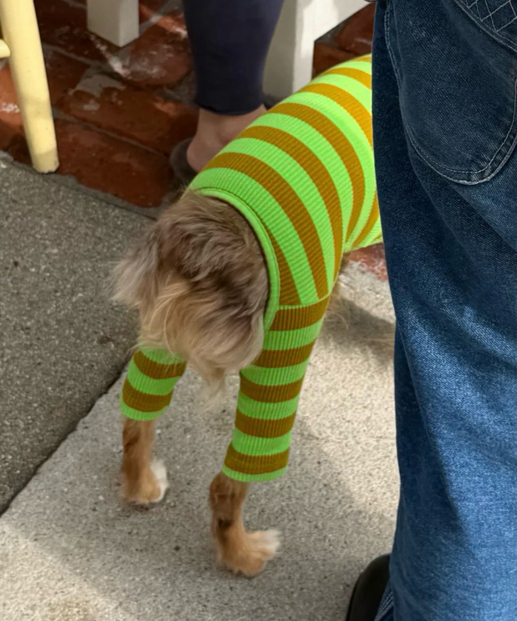 FRESH GRASS ONESIE - L.GREEN/OLIVE