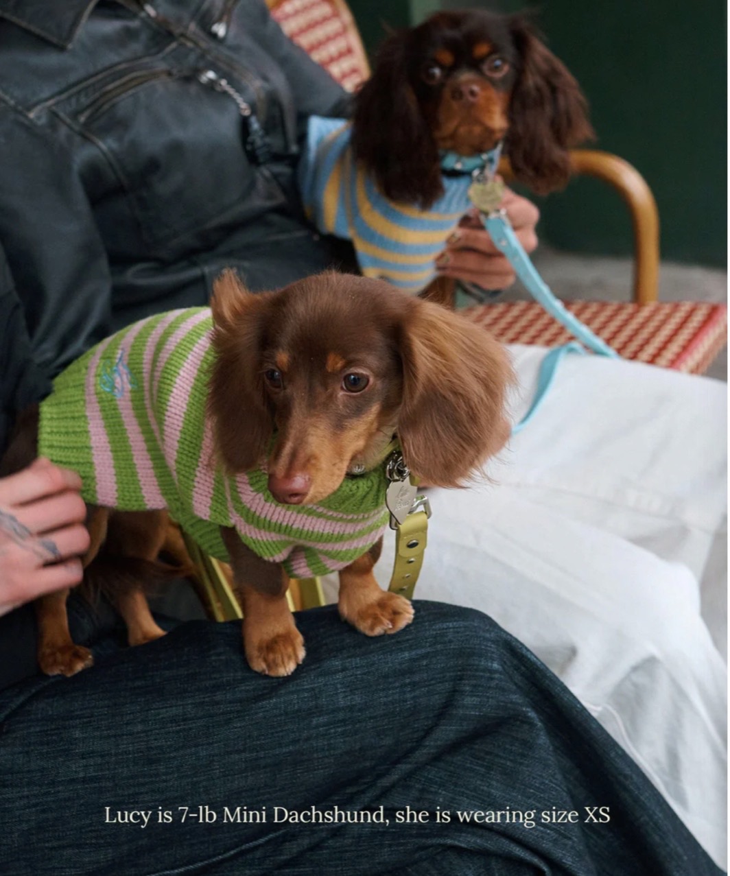 PEACE SWEATER - GREEN/PINK