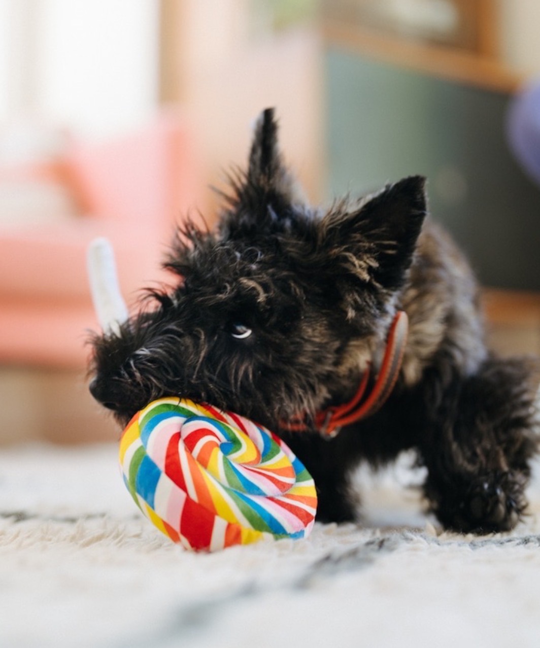 【P.L.A.Y. SNACK ATTACK】LOLLIPOP