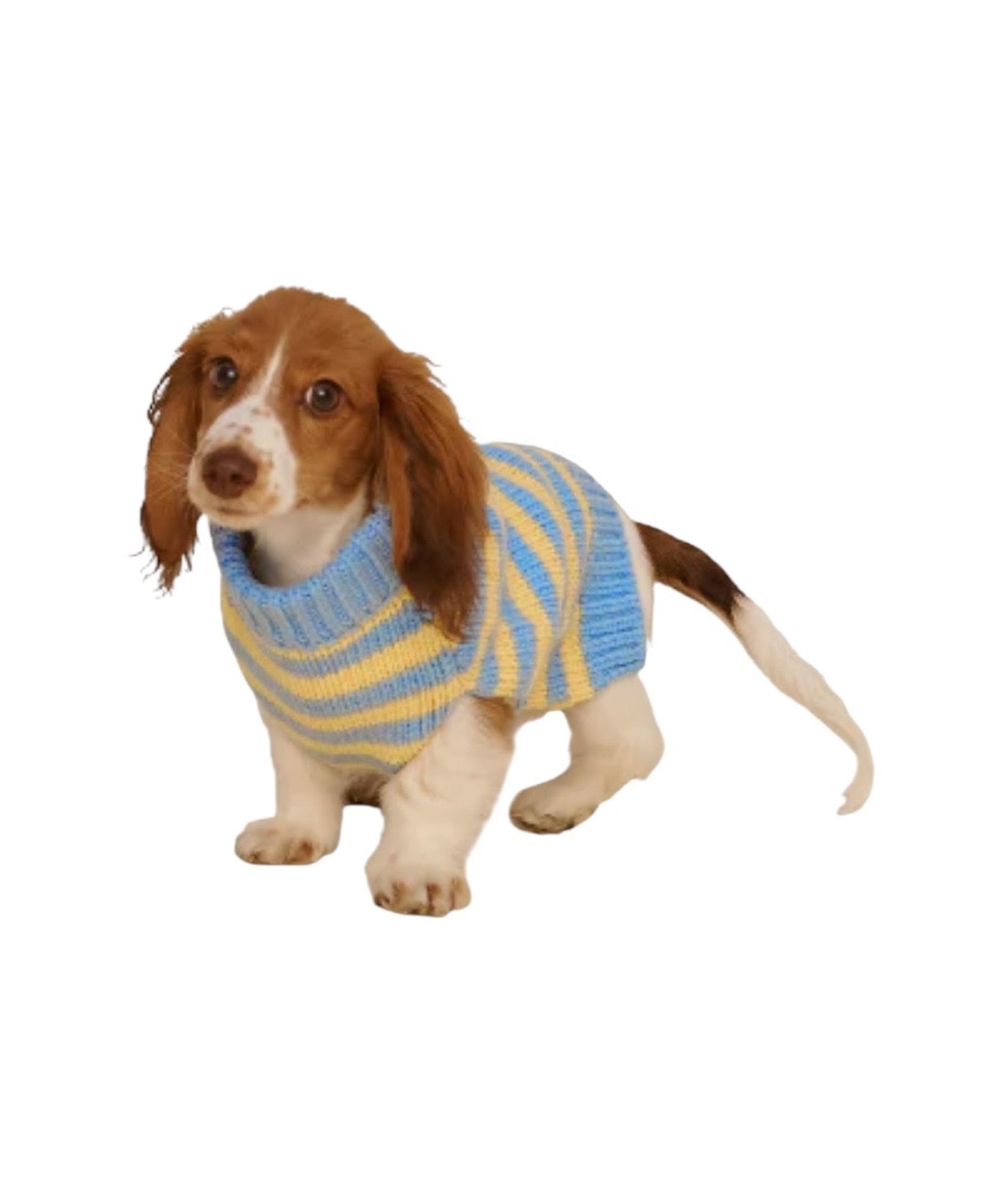 HARMONY SWEATER - BLUE/YELLOW