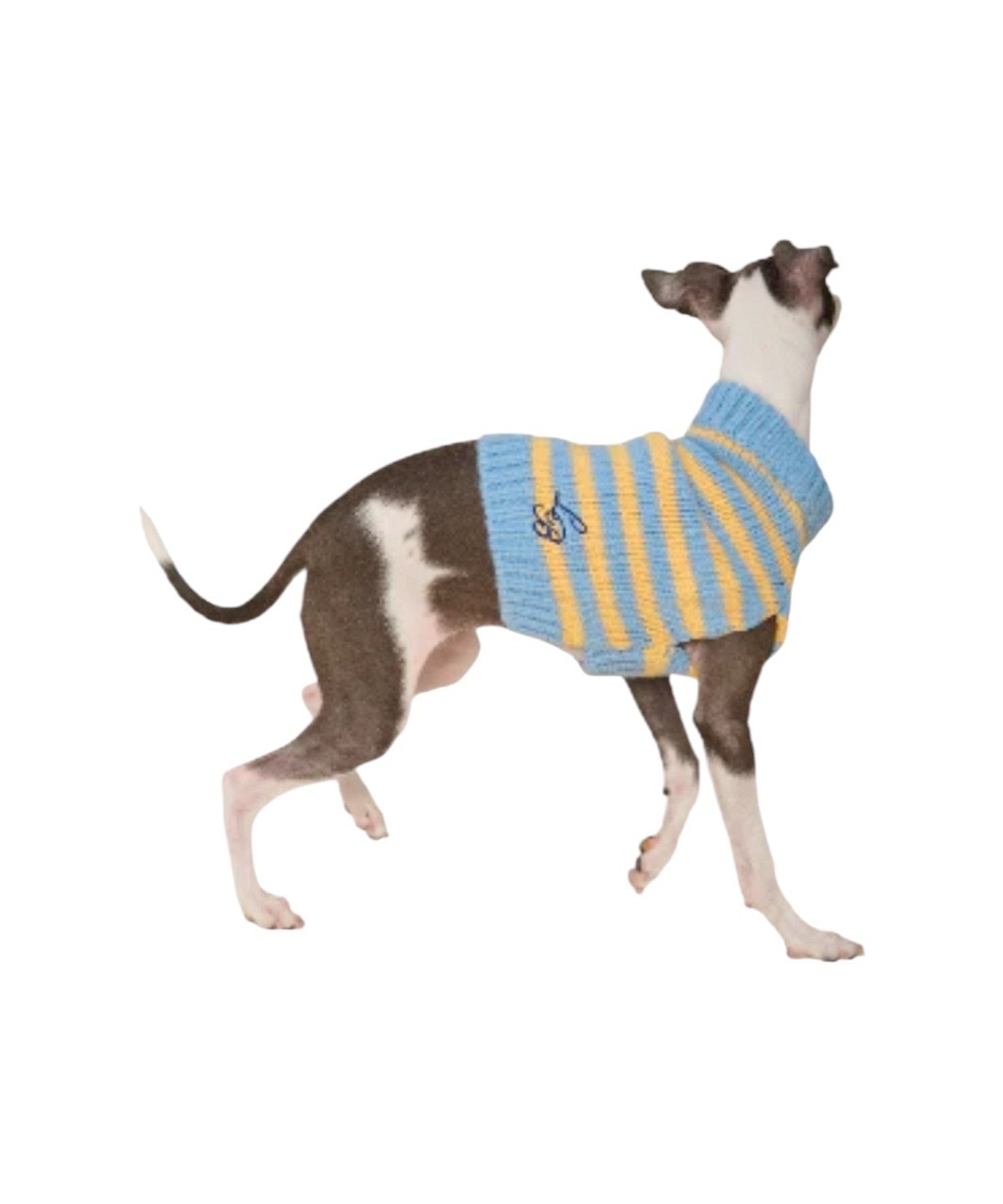 HARMONY SWEATER - BLUE/YELLOW