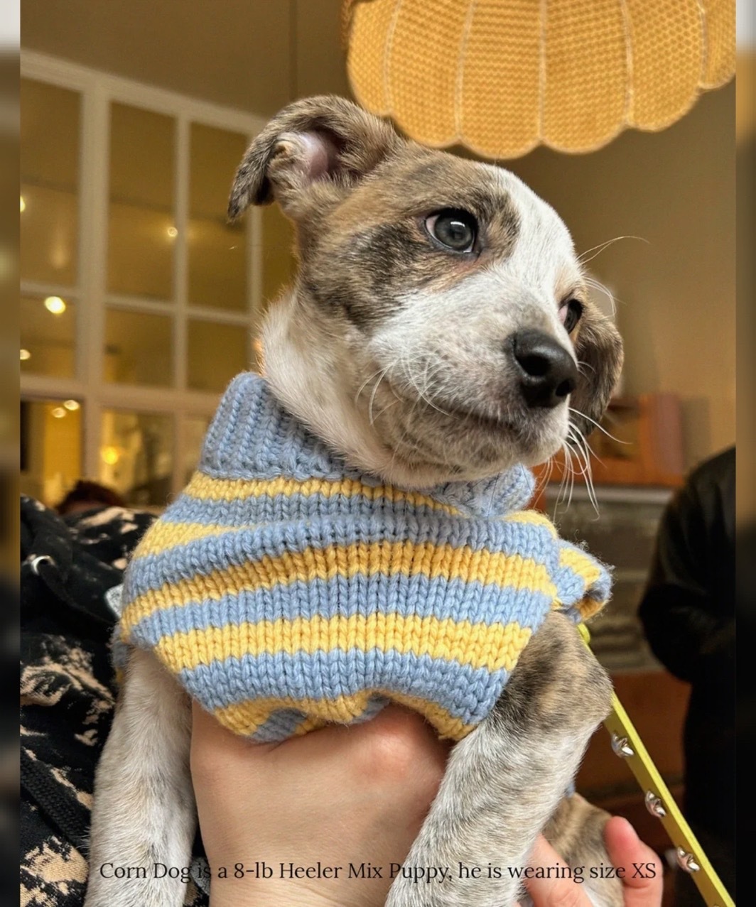 HARMONY SWEATER - BLUE/YELLOW