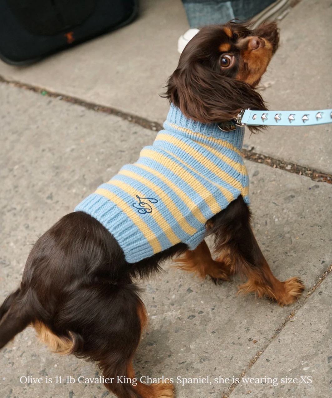 HARMONY SWEATER - BLUE/YELLOW