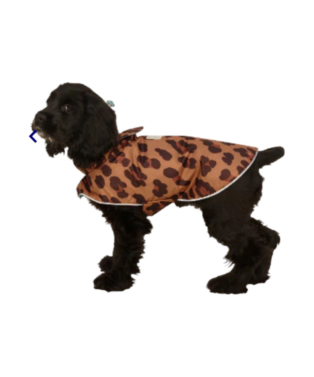 LITTLE BEAST COUGAR RAINCOAT - LEOPARD