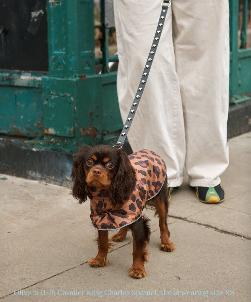 LITTLE BEAST COUGAR RAINCOAT - LEOPARD