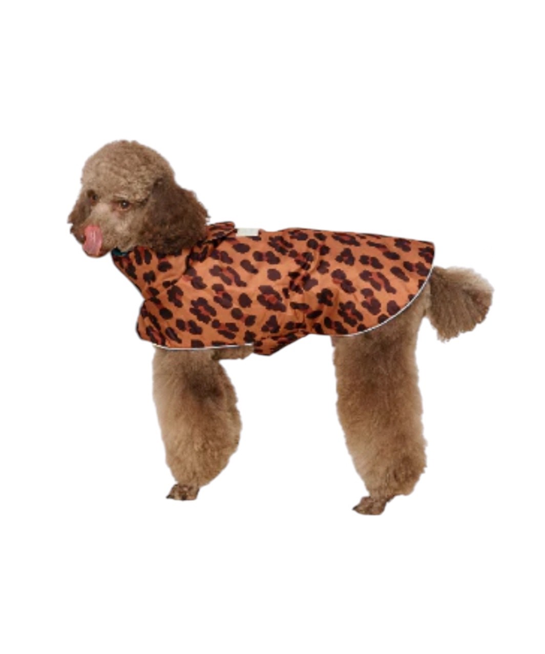 LITTLE BEAST COUGAR RAINCOAT - LEOPARD
