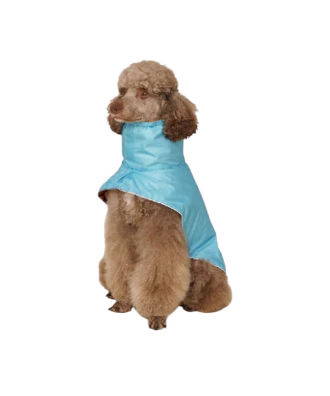 LITTLE BEAST COUGAR RAINCOAT - LEOPARD
