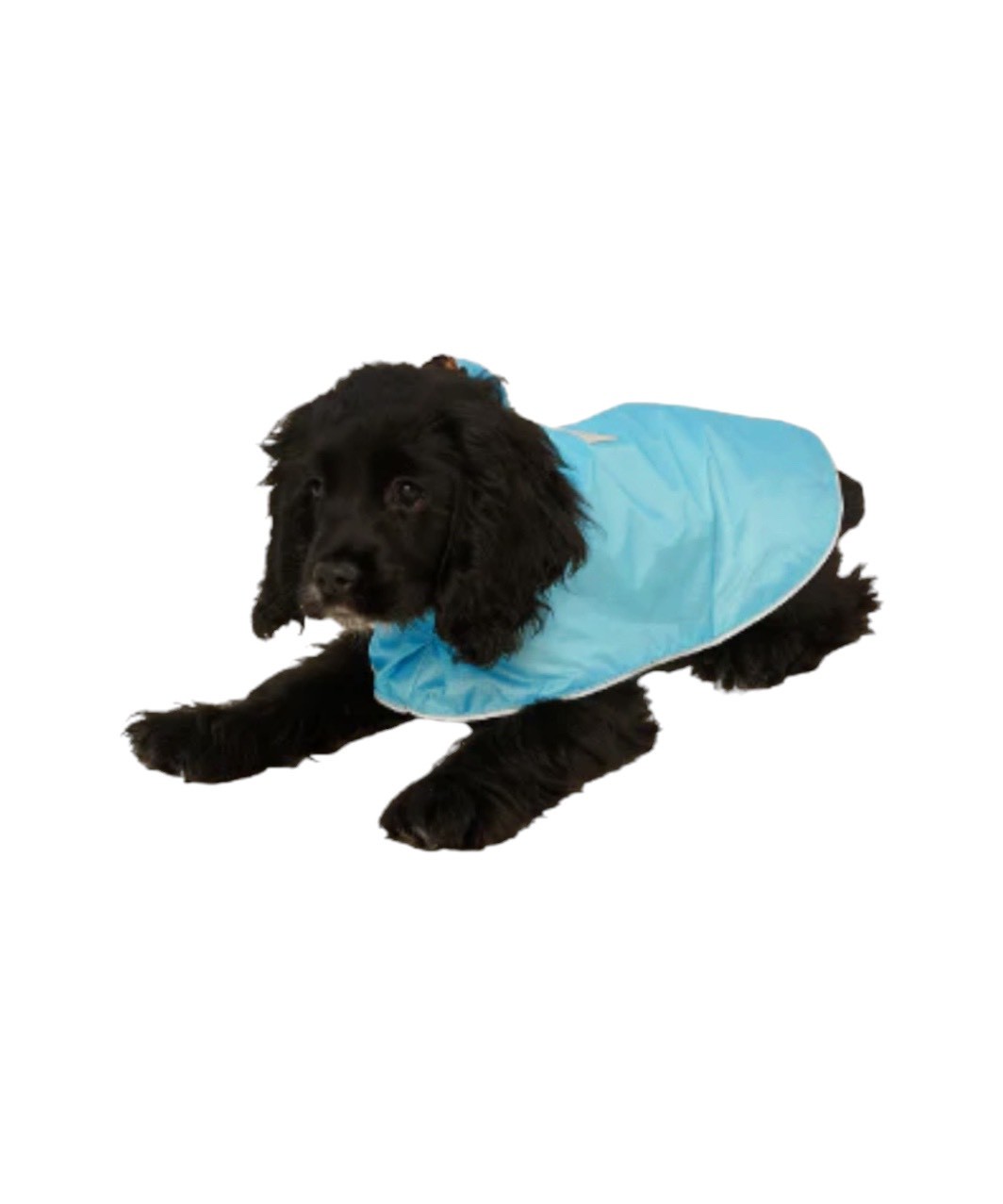 LITTLE BEAST COUGAR RAINCOAT - LEOPARD