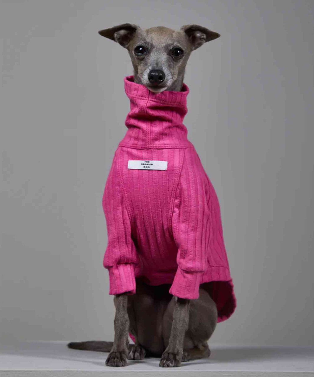 PRISMA for GALGO ITALIANO / WHIPPET - PINK