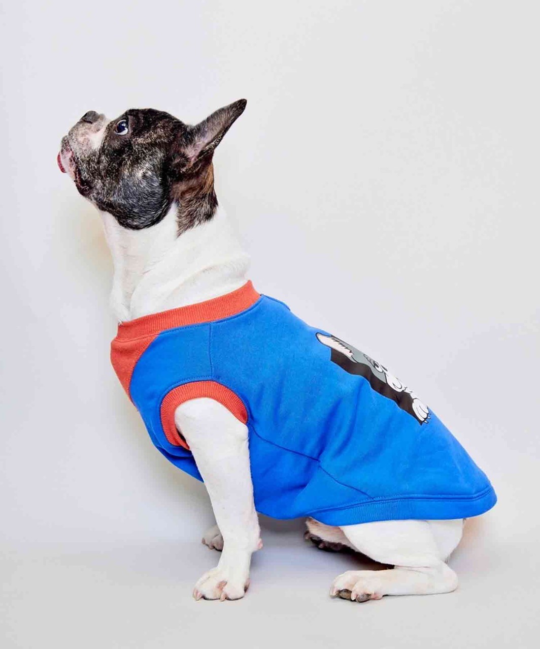 FRENCHI BULL DOG TANK - BLU×FAWN